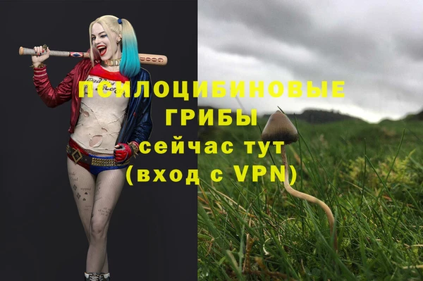 COCAINE Абаза