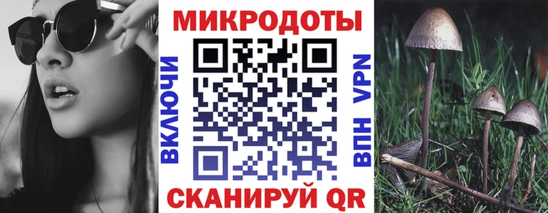 Галлюциногенные грибы мухоморы Черепаново